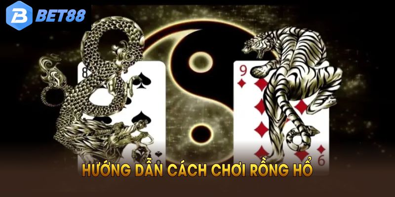 Hướng dẫn cách chơi rồng hổ cơ bản bạn không nên bỏ qua