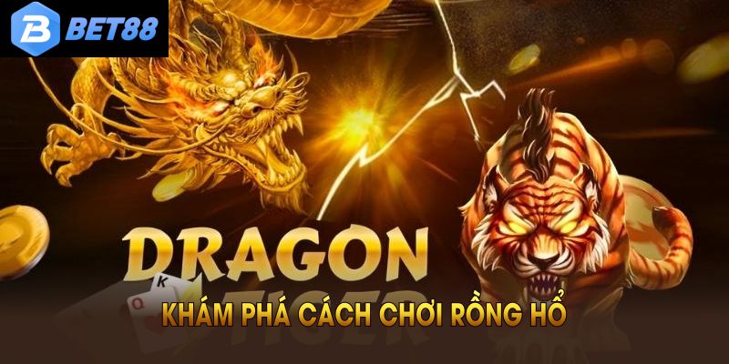 Khám phá cách chơi rồng hổ ngay tại cổng game hàng đầu
