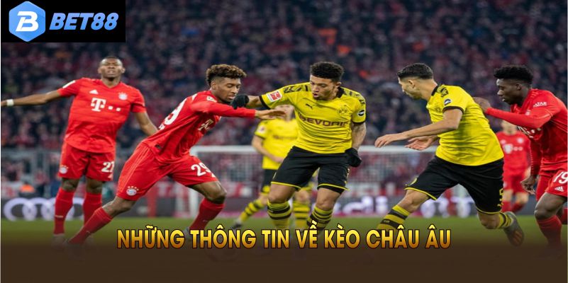 Những thông tin về kèo châu Âu mọi người nên biết